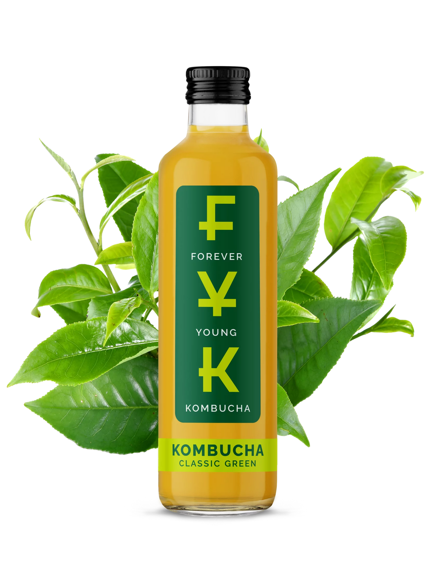 Forever Young Kombucha Zielona Herbata 250ml