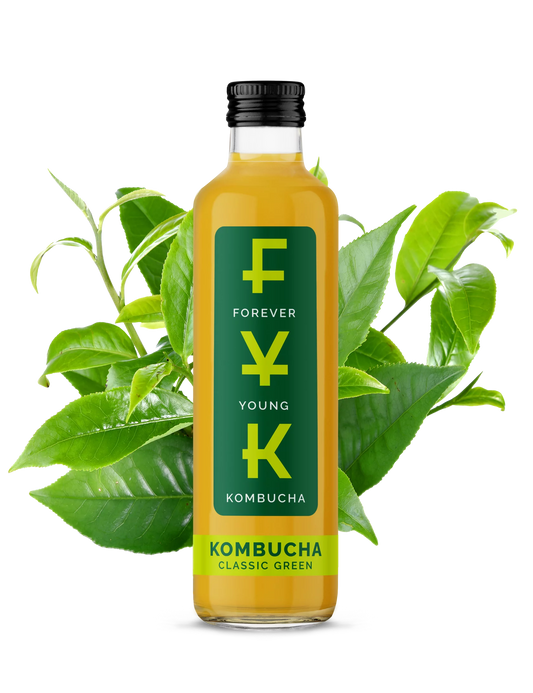 Forever Young Kombucha Zielona Herbata 250ml